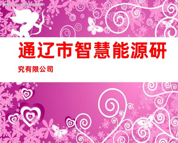 通辽市智慧能源研究有限公司