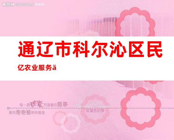 通辽市科尔沁区民亿农业服务专业合作社