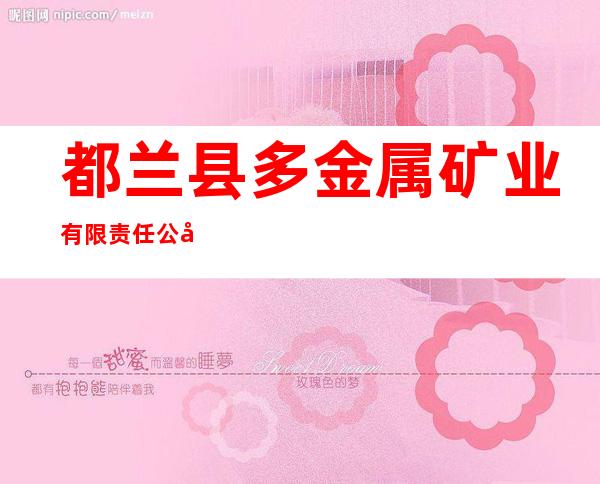 都兰县多金属矿业有限责任公司