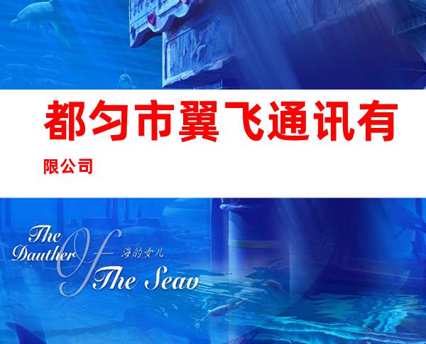 都匀市翼飞通讯有限公司