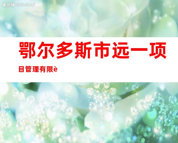 鄂尔多斯市远一项目管理有限责任公司