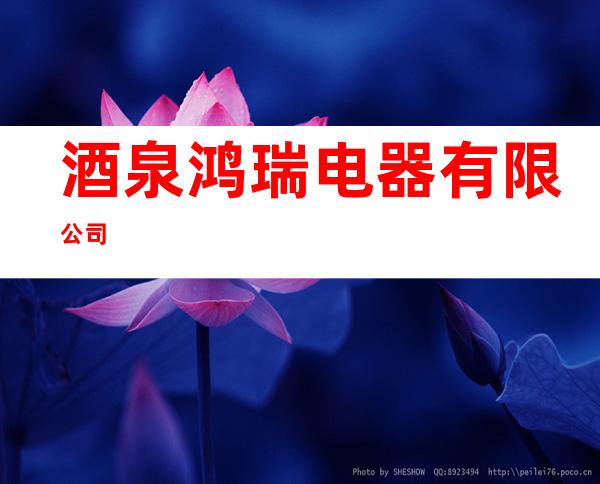 酒泉鸿瑞电器有限公司