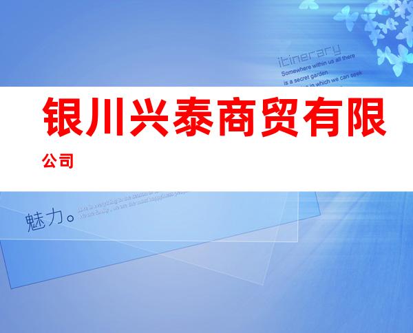 银川兴泰商贸有限公司
