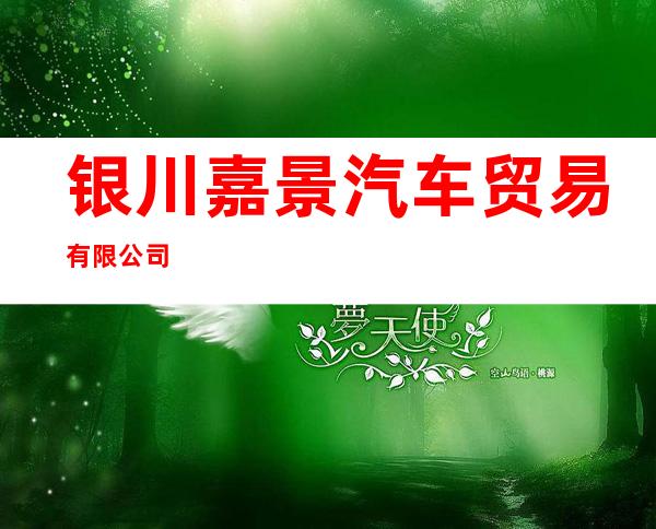 银川嘉景汽车贸易有限公司