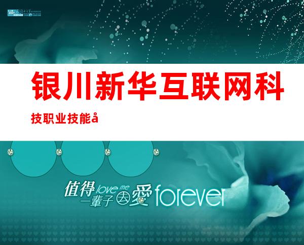 银川新华互联网科技职业技能培训学校有限公司