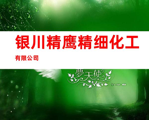 银川精鹰精细化工有限公司