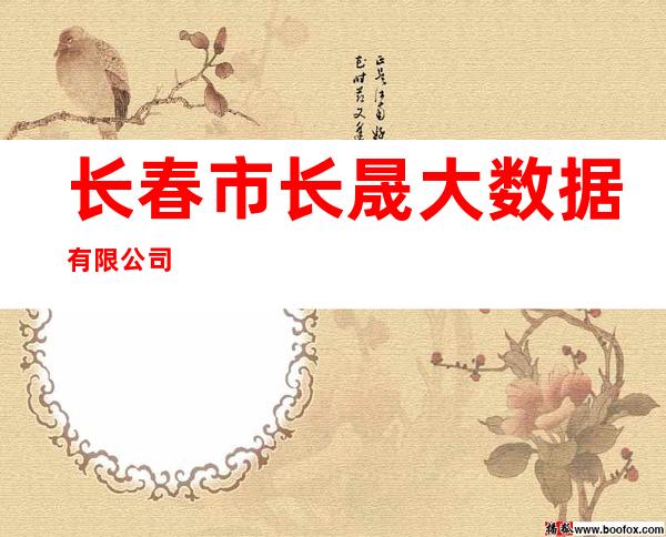 长春市长晟大数据有限公司