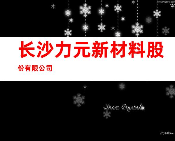 长沙力元新材料股份有限公司