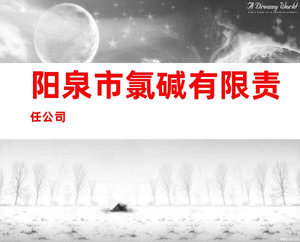 阳泉市氯碱有限责任公司