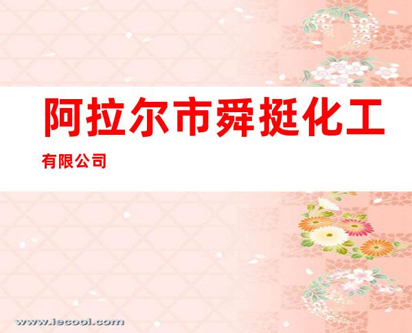 阿拉尔市舜挺化工有限公司