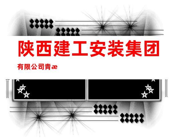 陕西建工安装集团有限公司青海分公司