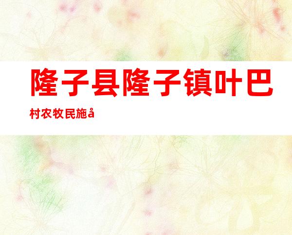 隆子县隆子镇叶巴村农牧民施工队