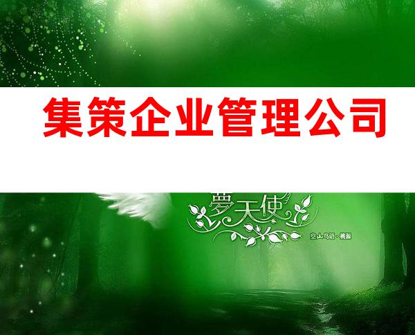 集策企业管理公司