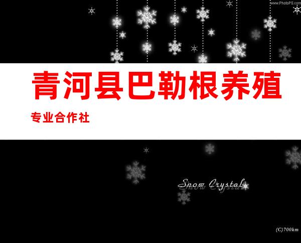青河县巴勒根养殖专业合作社