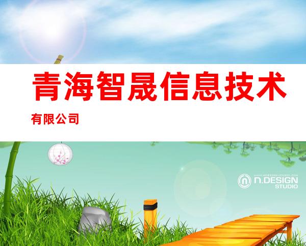 青海智晟信息技术有限公司