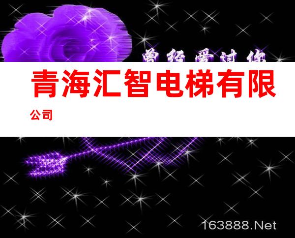 青海汇智电梯有限公司