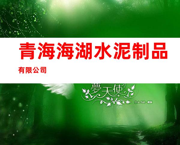 青海海湖水泥制品有限公司