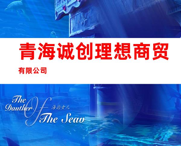 青海诚创理想商贸有限公司