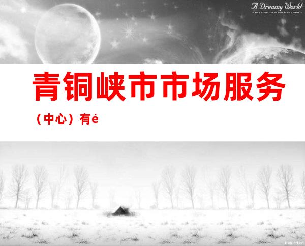 青铜峡市市场服务(中心)有限公司
