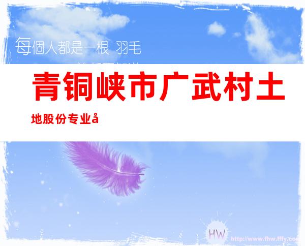青铜峡市广武村土地股份专业合作社