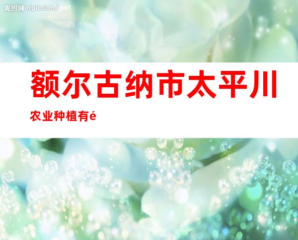 额尔古纳市太平川农业种植有限责任公司