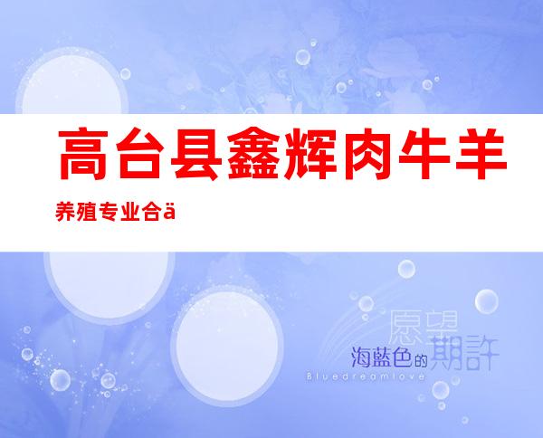 高台县鑫辉肉牛羊养殖专业合作社