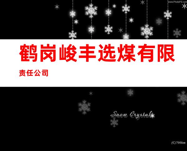 鹤岗峻丰选煤有限责任公司