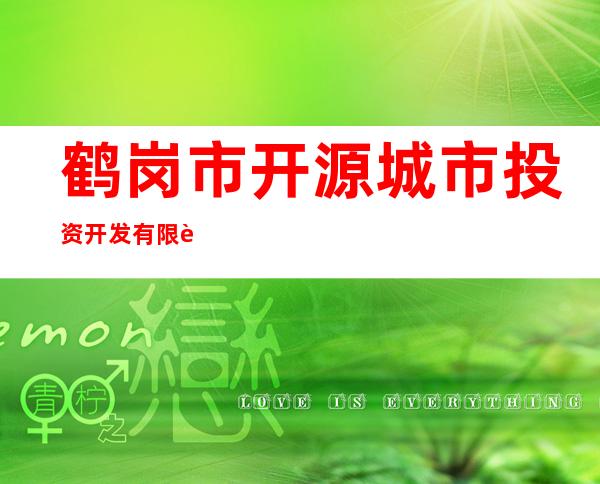 鹤岗市开源城市投资开发有限责任公司