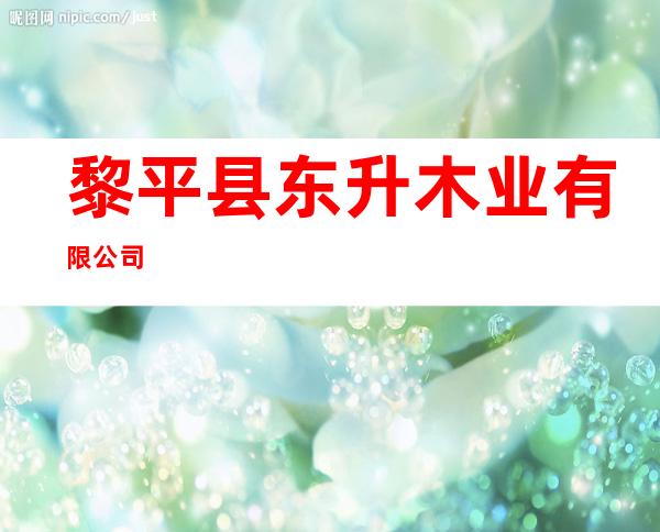 黎平县东升木业有限公司