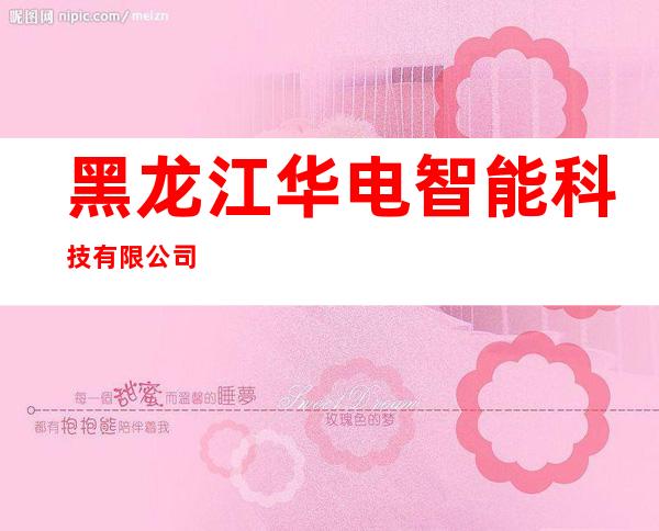 黑龙江华电智能科技有限公司