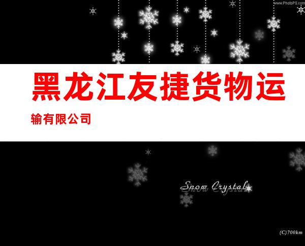 黑龙江友捷货物运输有限公司