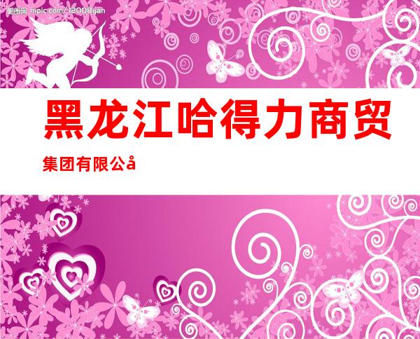 黑龙江哈得力商贸集团有限公司