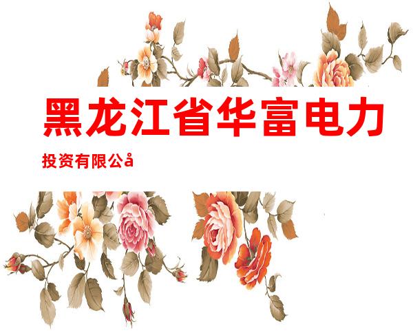 黑龙江省华富电力投资有限公司哈尔滨分公司