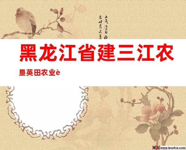黑龙江省建三江农垦英田农业装备销售有限公司