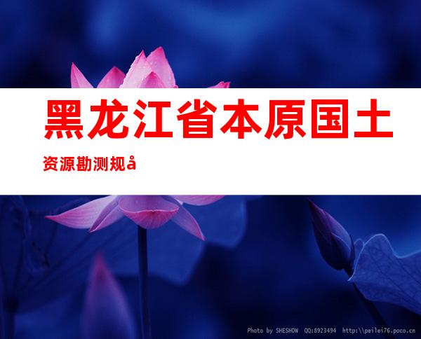 黑龙江省本原国土资源勘测规划技术服务中心有限公司