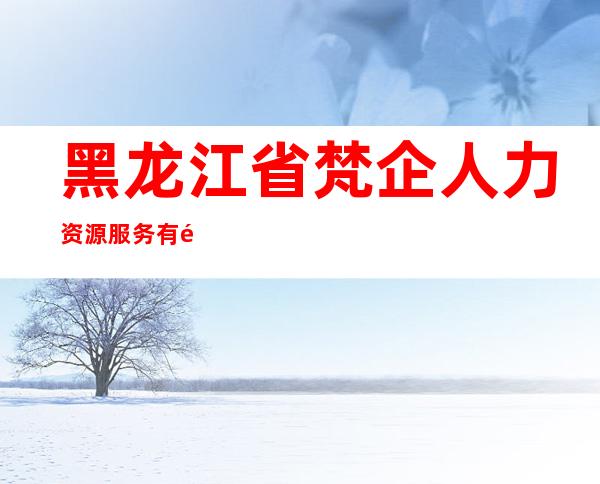 黑龙江省梵企人力资源服务有限公司