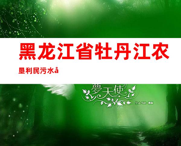 黑龙江省牡丹江农垦利民污水处理有限公司