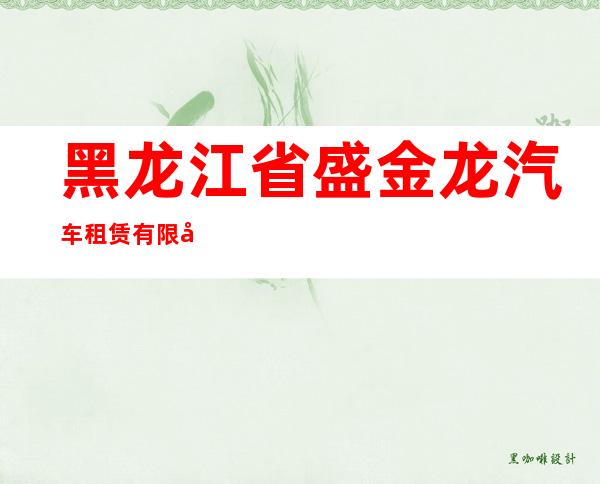 黑龙江省盛金龙汽车租赁有限公司