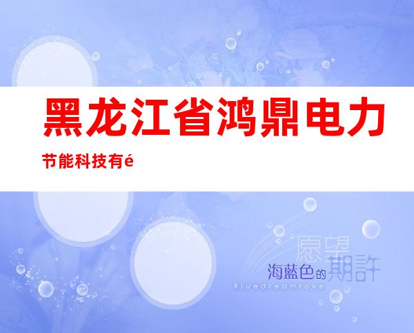 黑龙江省鸿鼎电力节能科技有限公司