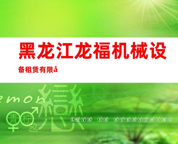 黑龙江龙福机械设备租赁有限公司