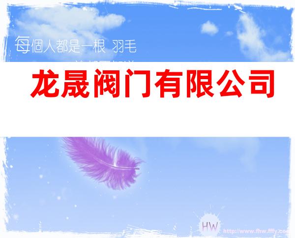 龙晟阀门有限公司