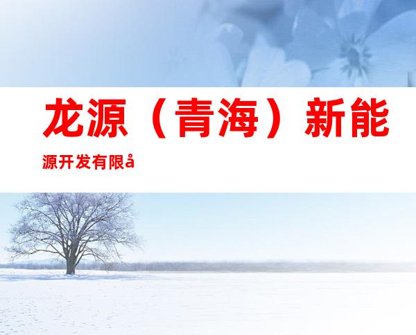 龙源(青海)新能源开发有限公司